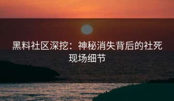 黑料社区深挖：神秘消失背后的社死现场细节