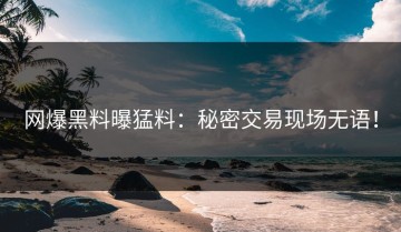网爆黑料曝猛料：秘密交易现场无语！