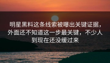 明星黑料这条线索被曝出关键证据，外面还不知道这一步最关键，不少人到现在还没缓过来