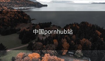 中国pornhub站