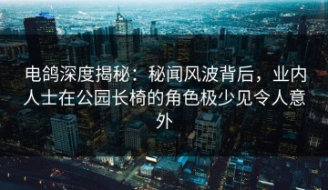 电鸽深度揭秘：秘闻风波背后，业内人士在公园长椅的角色极少见令人意外