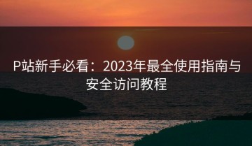 P站新手必看：2023年最全使用指南与安全访问教程