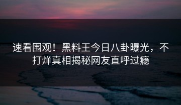 速看围观！黑料王今日八卦曝光，不打烊真相揭秘网友直呼过瘾