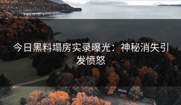 今日黑料塌房实录曝光：神秘消失引发愤怒