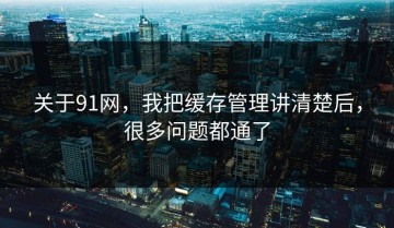 关于91网，我把缓存管理讲清楚后，很多问题都通了