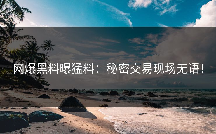 网爆黑料曝猛料：秘密交易现场无语！
