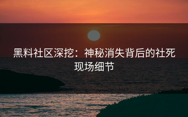 黑料社区深挖：神秘消失背后的社死现场细节