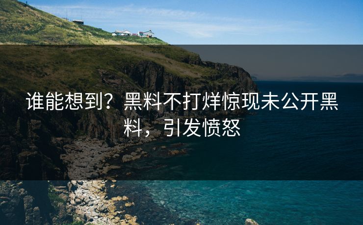 谁能想到？黑料不打烊惊现未公开黑料，引发愤怒