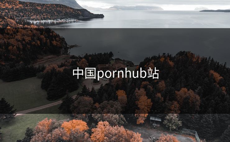 中国pornhub站